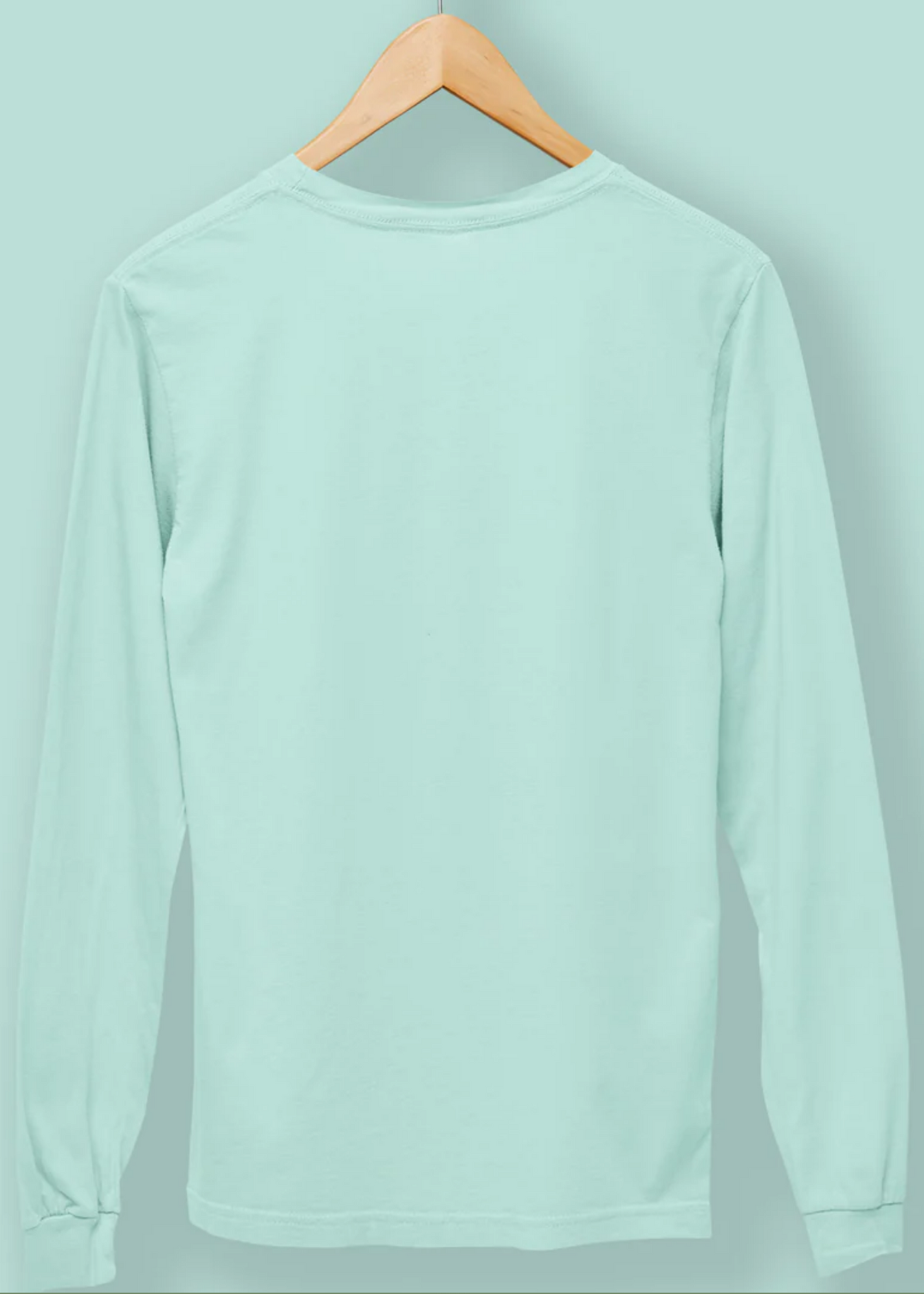 Crew Neck: Full Sleeves - Pistachio